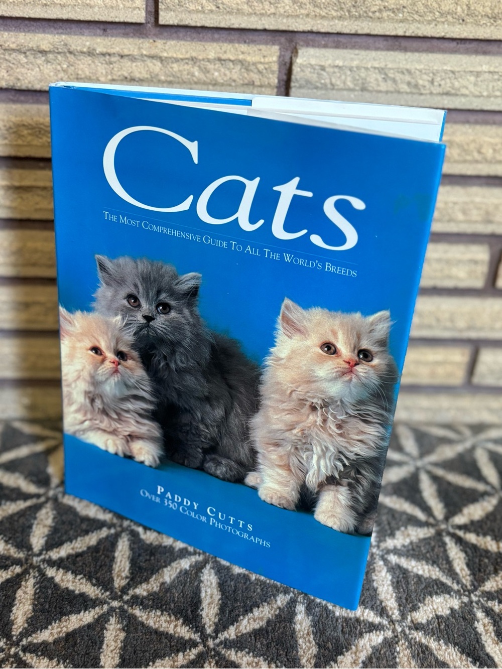 90's "Cats" - Paddy Cutts - Cats Coffee Table Book - Cat Collectible - Cat Book